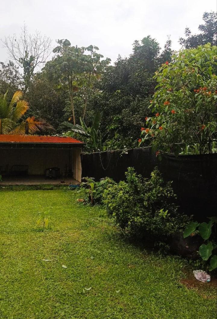 Arturo Homestay *