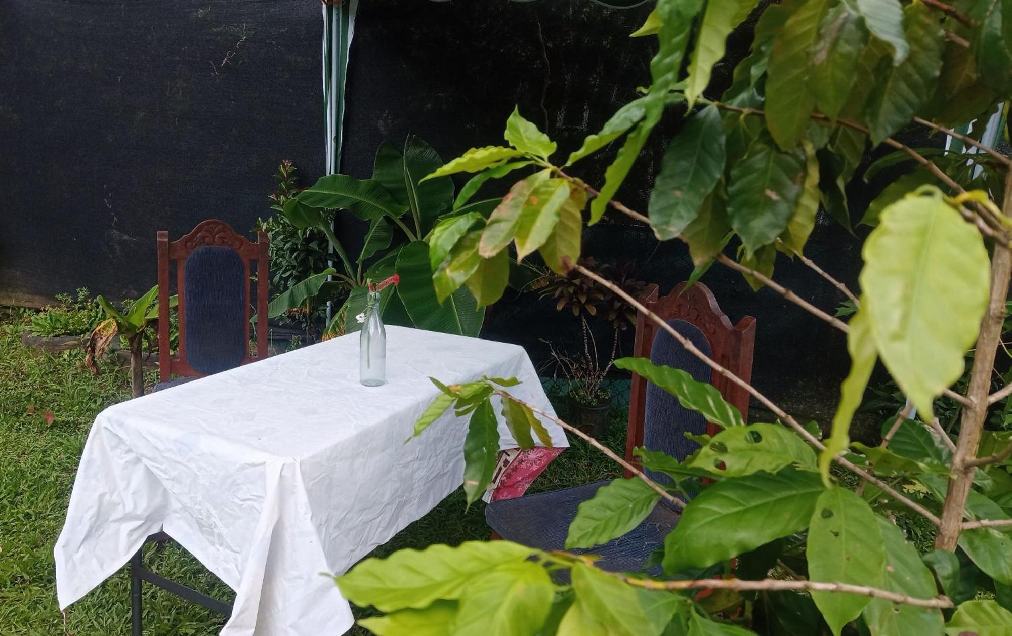 Homestay Arturo Cariari (Limon)