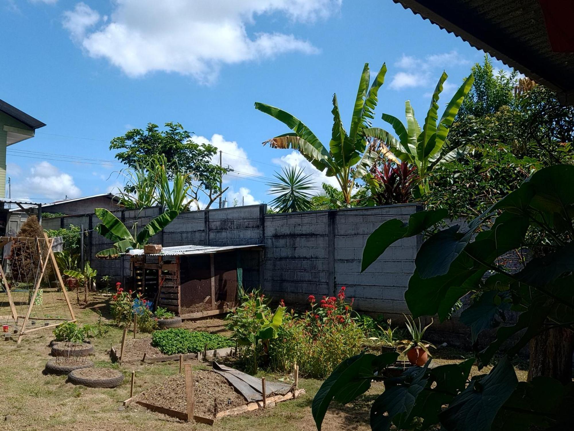 Arturo Homestay *